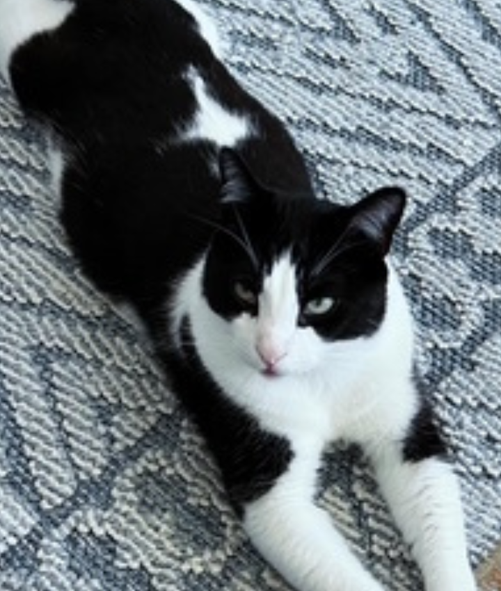 Portrait of MaryAnn