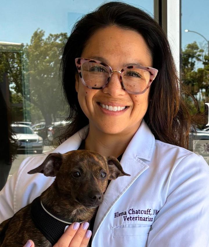 Elena Chatcuff Doctor of Veterinary Medicine